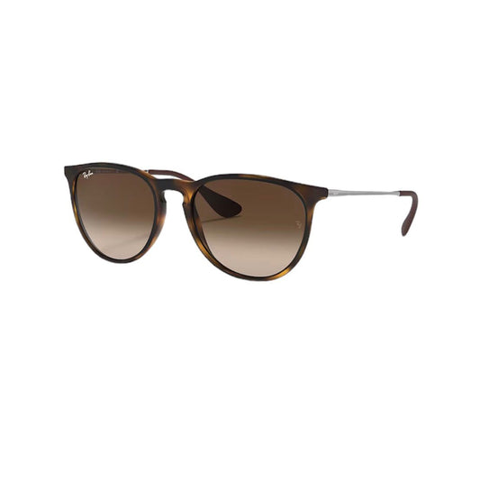 Ray-Ban RB4171 ERIKA